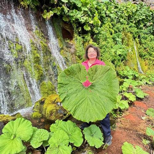 Photo #11363945
