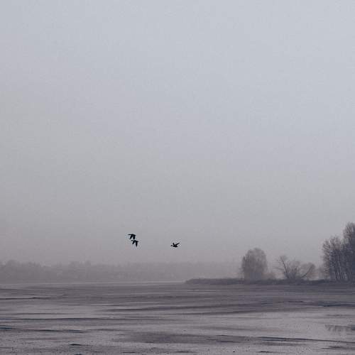 Photo #11364094