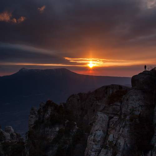 Photo #11364218