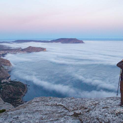 Photo #11364244