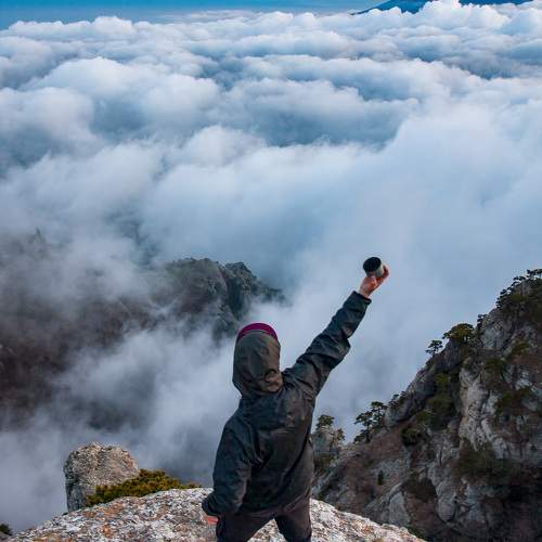 Photo #11364245