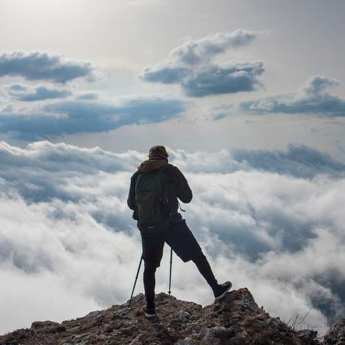 Photo #11364246