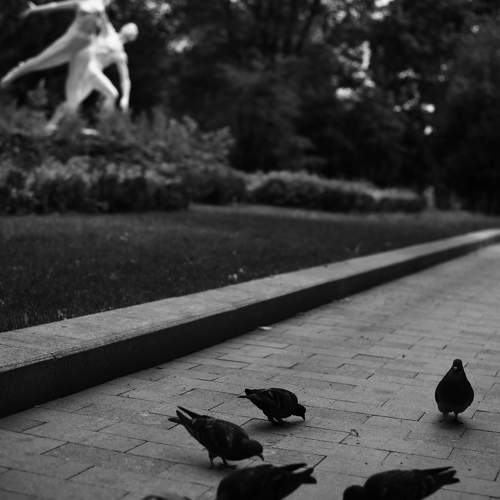 Photo #11364279