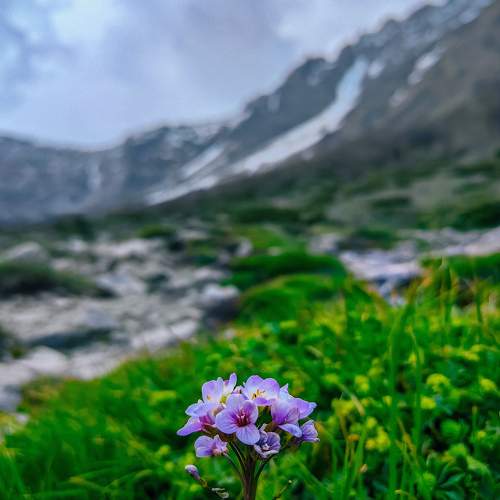 Photo #11364373