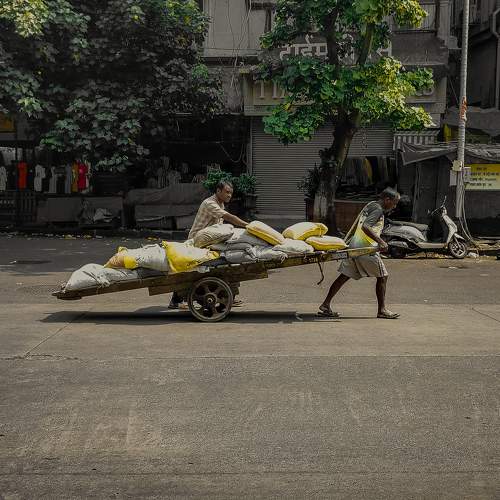 Photo #11364560