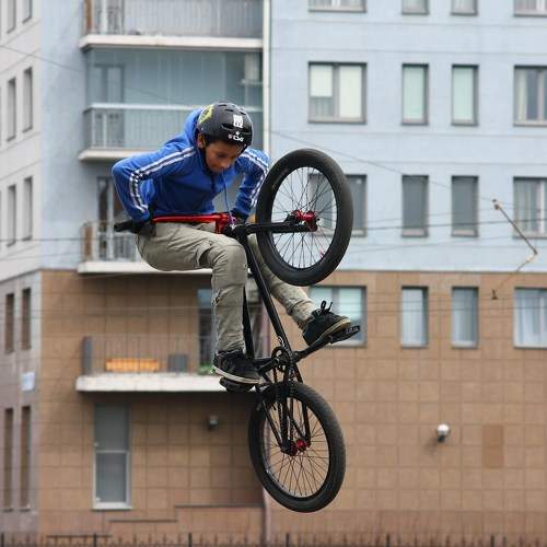 Photo #11364570