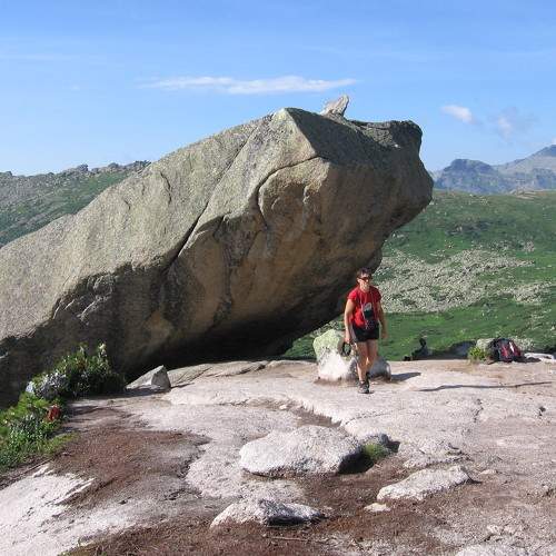 Photo #11364622