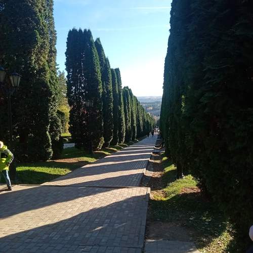 Photo #11364665