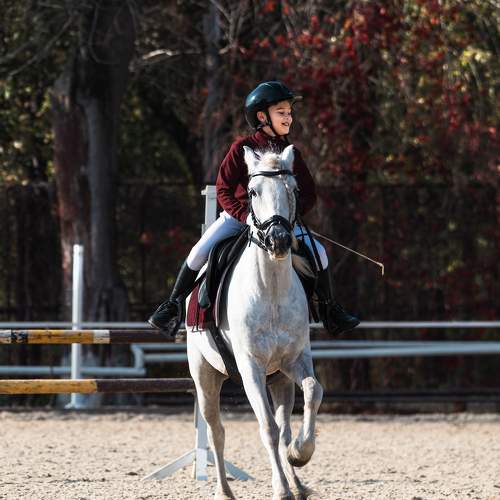 Photo #11364817