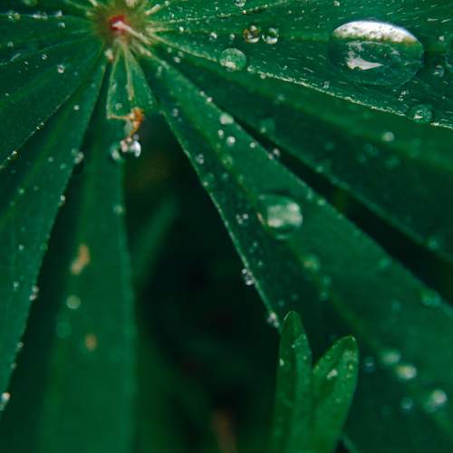 Photo #11364902