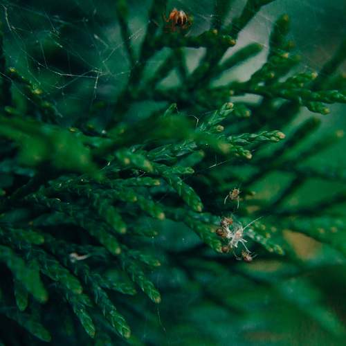 Photo #11364904