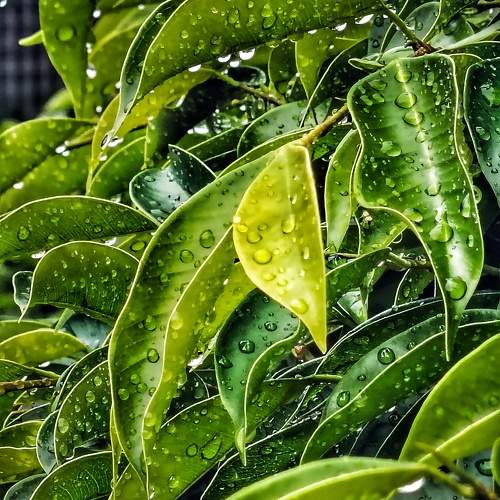 Photo #11365000