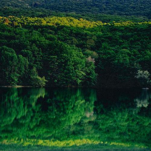 Photo #11365141