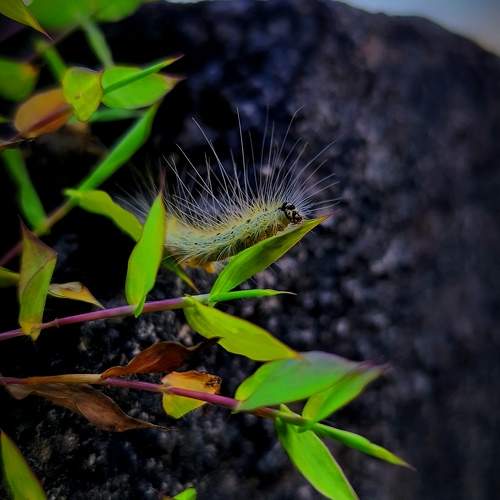 Photo #11365372