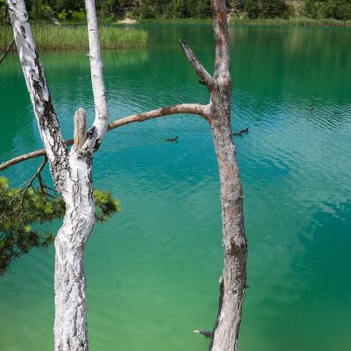 Photo #11365427