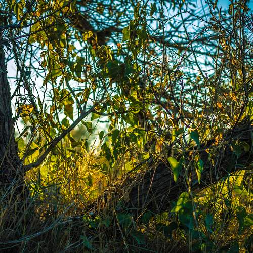 Начало осени