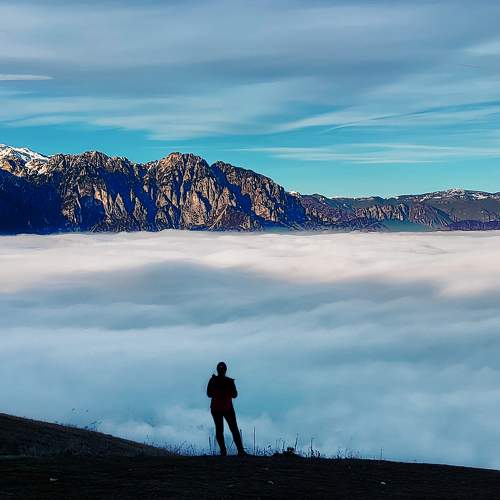Photo #11365511