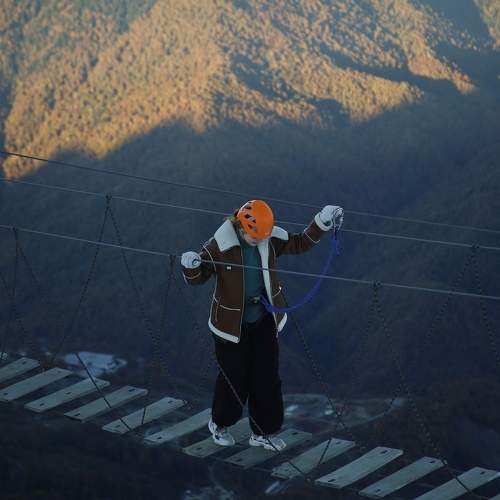 Photo #11365544