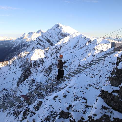 Photo #11365555