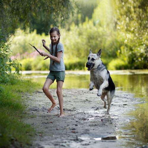 Photo #11365661