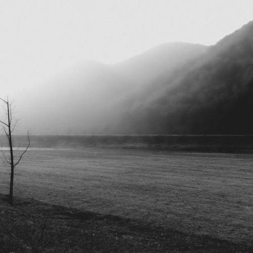 Photo #11365694