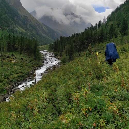 Photo #11365864
