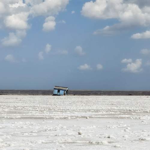 Photo #11365907