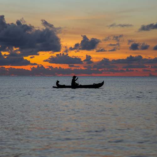 Photo #11366057