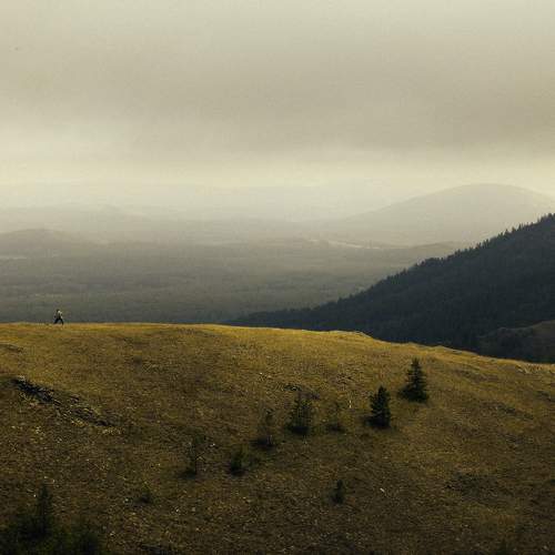 Photo #11366222