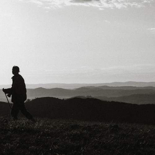 Photo #11366226