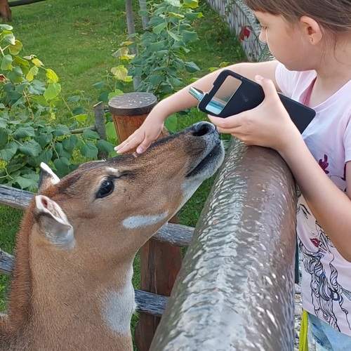 Photo #11366402
