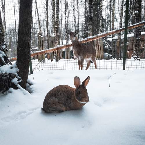 Photo #11366568