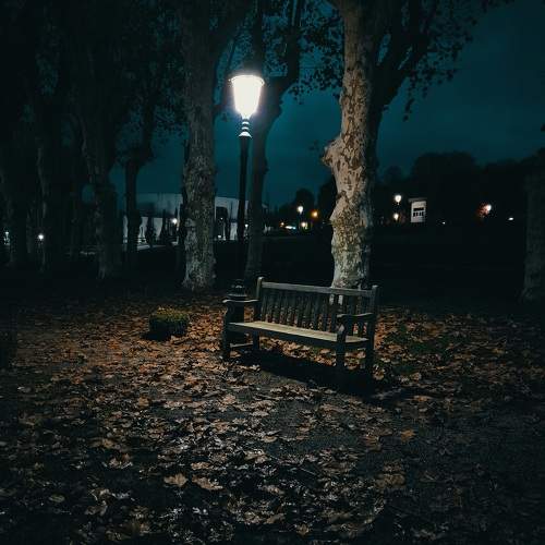 Photo #11366821