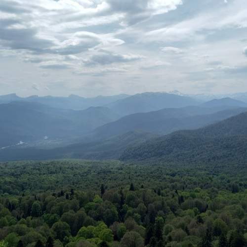 Photo #11366832
