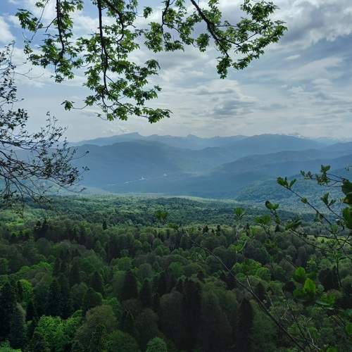 Photo #11366834