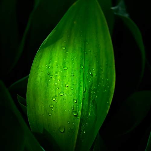 Photo #11366943