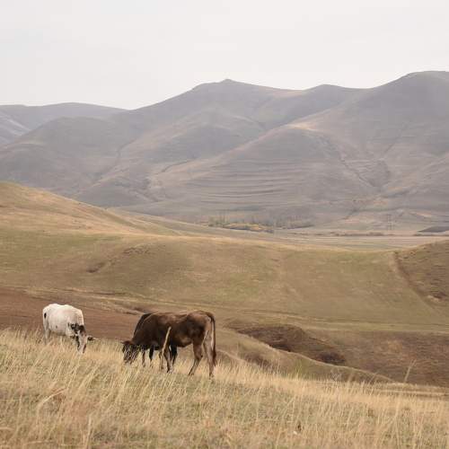 Photo #11366989