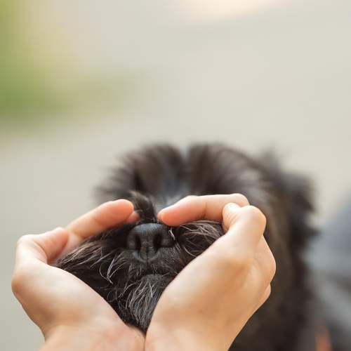 Photo #11367143