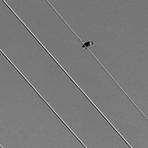 Photo #11367171