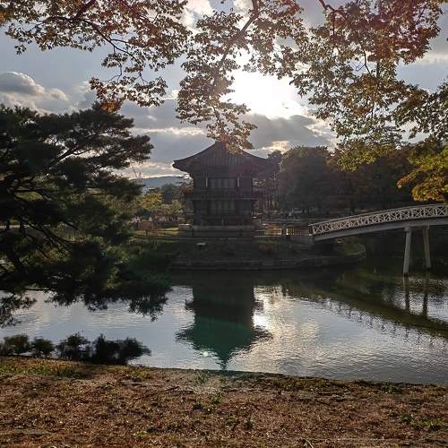 Photo #11367433