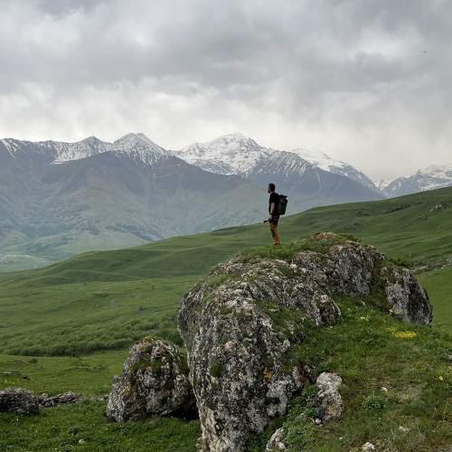 Photo #11367502