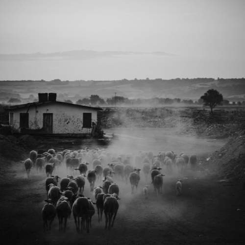Photo #11367563