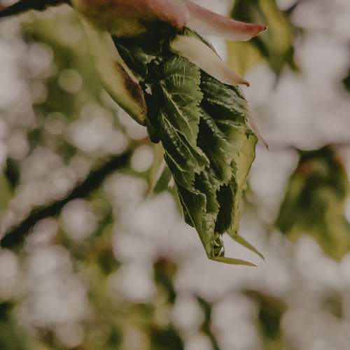 Photo #11367645