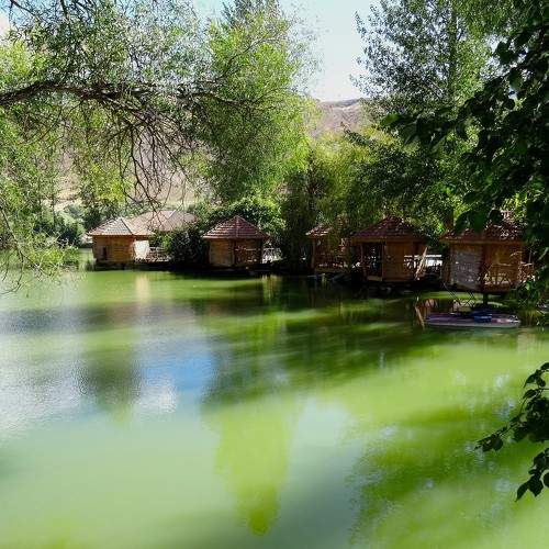 Photo #11367770