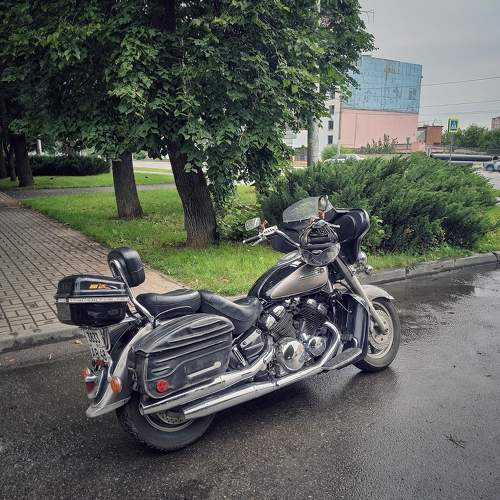 Photo #11367819