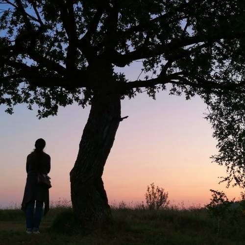 Photo #11368169