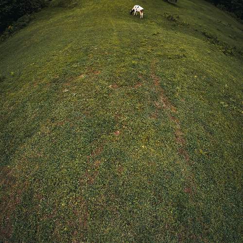 Photo #11368225