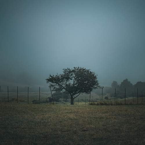 Photo #11368245