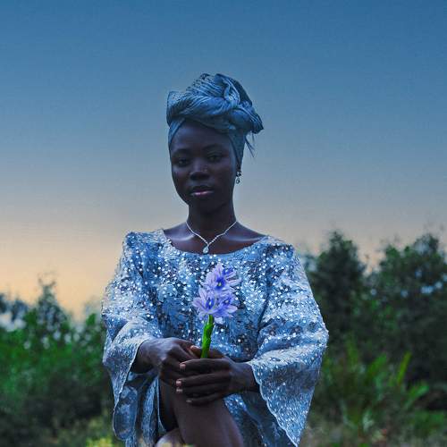 Photo #11368746