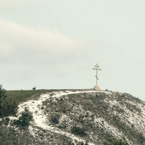 Photo #11368971